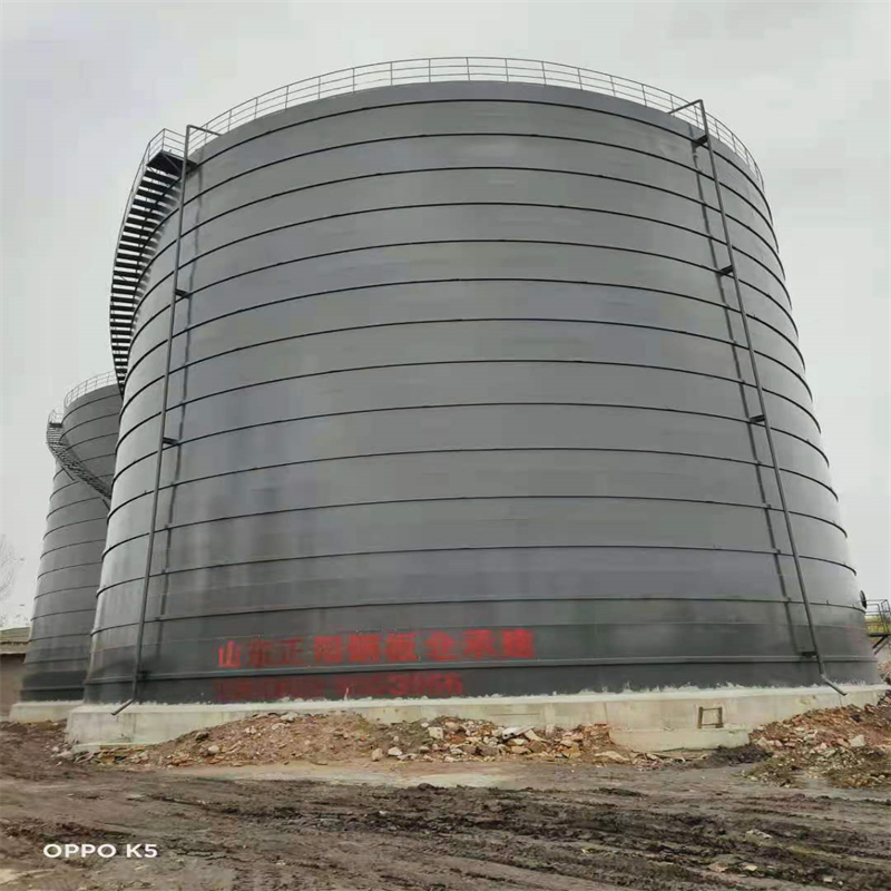 新城镇3万吨大型钢板库